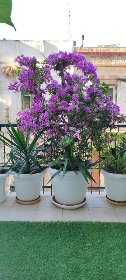 מלון Giambattista House בארי מראה חיצוני תמונה